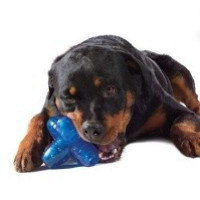 Іграшка для собак з отворами для ласощів Petstages Orka Jack (Петстеджес Орка Джек)