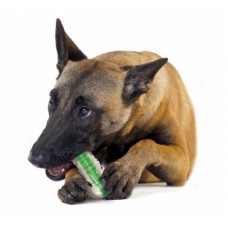 Іграшка для собак хрустка кісточка Petstages CrunchCore (Петстеджес Кранчкор)