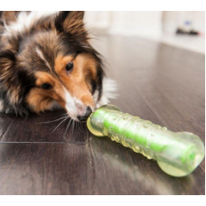 Іграшка для собак хрустка кісточка Petstages CrunchCore (Петстеджес Кранчкор)