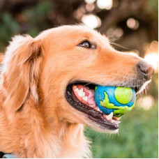 Суперміцна іграшка м'ячик для собак Planet Dog Orbee Ball (Планет Дог Орбі Бол)