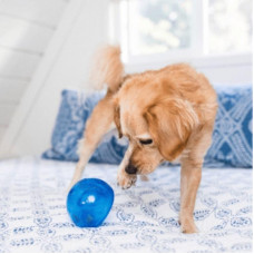 Суперміцна іграшка-диспенсер-м'яч для собак з отворами для корму Planet Dog Snoop (Планет Дог Шпіон)