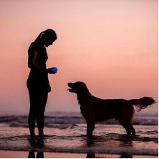 Суперміцна іграшка світний м'ячик для собак Planet Dog Strobe Ball (Планет Дог Стробе Бол)