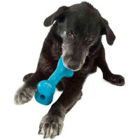 Игрушка для собак суперпрочная кость с отверстиями для лакомств Planet Dog Orbee Bone (Планет Дог Боун)