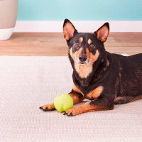 West Paw Jive Dog Ball (Вест Пав Джив) іграшка для собак супер м'яч Зелений
