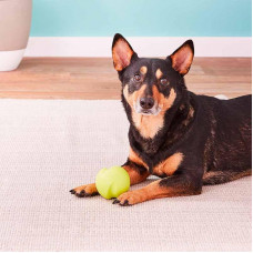 West Paw Jive Dog Ball (Вест Пав Джив) іграшка для собак супер м'яч Зелений