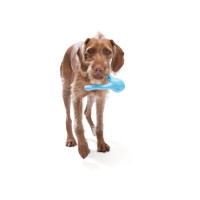 West Paw Tizzi Dog Toy (Вест Пав Тиззі) іграшка для собак з отвором для ласощів