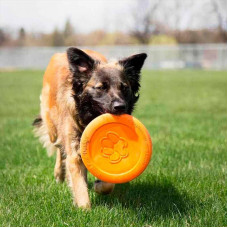 West Paw Zisc Flying Disc (Вест Пав Зис) іграшка для собак фрисбі