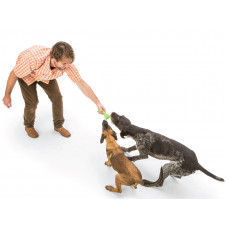 West Paw Skamp (Вест Пав Скамп) Три пелюстки іграшка для собак для апорту