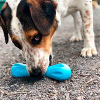 West Paw Hurley Dog Bone (Вест Пав Гарлів) іграшка для собак кісточка
