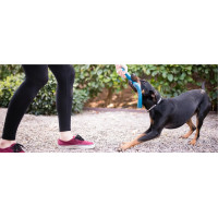 West Paw Seaflex Snorkl (Вест Пав Сноркл) іграшка для собак бумеранг Червоний