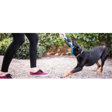 West Paw Seaflex Snorkl (Вест Пав Сноркл) іграшка для собак бумеранг