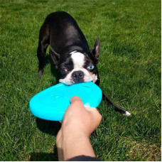 West Paw Zisc Flying Disc (Вест Пав Віскі) іграшка для собак фрисбі Маленький — 17 см, світний білий