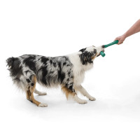 West Paw Seaflex Snorkl (Вест Пав Сноркл) іграшка для собак бумеранг Червоний