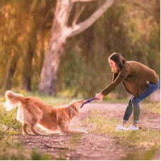 West Paw Zwig (Вест Пав Звиг) игрушка для собак палка - ветка для апорта