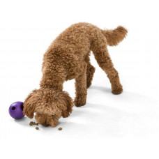 Іграшка для собак м'яч з тайком для ласощів West Pow Rumbl Large Eggplant (Вест Пав Рамбл)