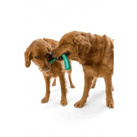 West Paw Seaflex Snorkl (Вест Пав Сноркл) іграшка для собак бумеранг Червоний