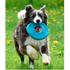 West Paw Dash Dog Frisbee (Вест Пав Фрісбі) іграшка для собак фрізбі Боровий