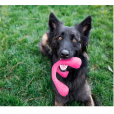 West Paw Wox Air Dog Toy (Вест Пав Вокс) триног іграшка для собак для перетягування