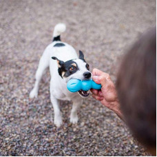 West Paw Rumpus (Вест Пав Румпус) іграшка для собак кістка - палиця Зелений