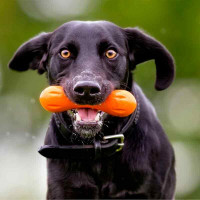 West Paw Hurley Dog Bone (Вест Пав Харлів) іграшка для собак кісточка Оранжевий