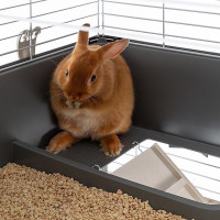 Триповерхова карта для кроликів і гризунів Ferplast Barn 100 Double (Ферпласт Барн 100 Дабл)