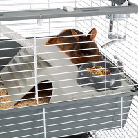 Триповерхова карта для кроликів і гризунів Ferplast Barn 100 Double (Ферпласт Барн 100 Дабл)