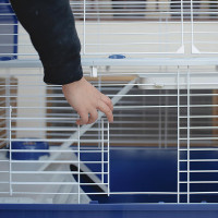 Велика клітка для кроликів і гризунів Ferplast Barn 120 (Ферпласт Барн 120)