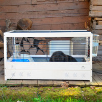 Дерев'яна клітка для морських свинок і гризунів Ferplast Arena 80 (Ферпласт Арена 80)