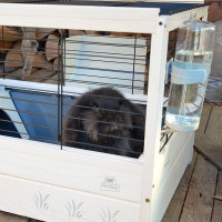 Дерев'яна клітка для морських свинок і гризунів Ferplast Arena 80 (Ферпласт Арена 80)