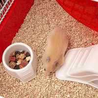 Клітка для хом'яків, мишей і гризунів Ferplast Coney Island (Ферпласт Коней Ісланд)