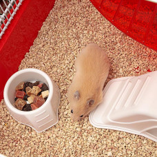 Клітка для хом'яків, мишей і гризунів Ferplast Coney Island (Ферпласт Коней Ісланд)