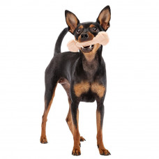 Жувальна кісточка для собак з ароматом шинки Ferplast GodBite Natural Ham (Ферпласт Гудбайт Нейчурал) L - 140 гри. - 17 x 5,5 x h 2,6 cm