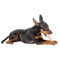 Жувальні палички для собак зі смаком шинки Ferplast GoodBite Natural Ham (Ферпласт ГудБайт Нечурал) М — 2 шт. - 2,2 x 2,1 x h 12 cm