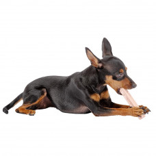 Жувальні палички для собак зі смаком шинки Ferplast GodBite Natural Ham (Ферпласт Гудбайт Нечурал)