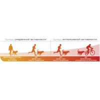 Royal Canin Energy 50 г х 12 шт (Роял Канин Енерджи) лакомство для активных собак при тренировках