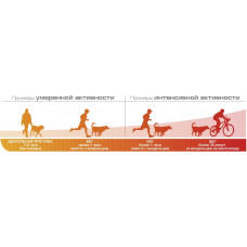 Royal Canin Energy (Роял Канін Енерджі) ласощі для активних собак під час тренувань 0.05 кг. х 12 шт.