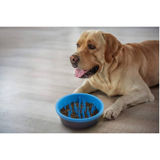 Миска силіконова для повільного годування собак Dexas Slow Feeder Dog Bowl (Дексас Слоу Фід)