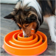 Миска лабіринт Водоворот для повільного годування собак Outward Hound Fun Feeder Slo Bowl (Аутвард Хаунд)