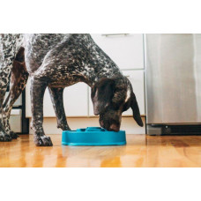 Миска лабіринт для повільного годування собак Outward Hound Fun Feeder Drop (Аутвард Хаунд Фан Фідер Дроп)