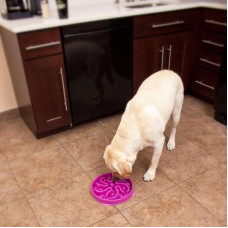 Миска лабіринт для собак Outward Hound Fun Feeder Slo-Bowl Flower (Аутвард Хаунд Фан Фідер Квітка)