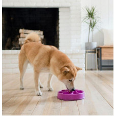 Миска лабіринт для собак Outward Hound Fun Feeder Slo-Bowl Flower (Аутвард Хаунд Фан Фідер Квітка)