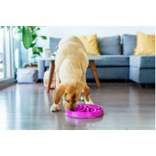 Миска лабіринт для собак Outward Hound Fun Feeder Slo-Bowl Flower (Аутвард Хаунд Фан Фідер Квітка)