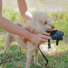Регульований намордник з м'якою підкладкою Ferplast Safe (Ферпласт Сейф)
