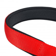 Ошийник для собак Ferplast Daytona CSS (Ферпласт Дейтона ЦС) 650, Червоний