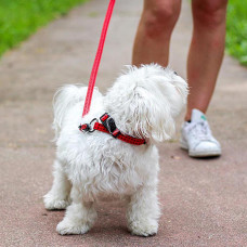 Нашийник для собак Ferplast Cricket C (Ферпласт Крикет С)