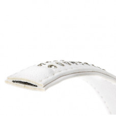 Кошійник з еко шкіри зі стразами для собак Ferplast Lux C (Ферпласт Люкс С) A: 28 см - B: 15 mm - LUX C15/28, Білий