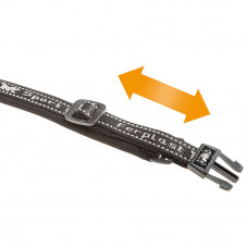 Кошійник для собак Ferplast Sport Dog C (Ферпласт Спорт Дог С) 430, Сірий, 20