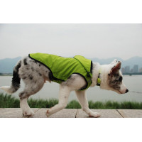 Плащ дождевик для собак BlackDoggy (БлекДогги) VC14-JK007 L, Зелёный