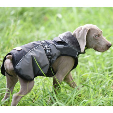 Тепла куртка для собак BlackDoggy (БлекДоггі) VC16-JK001