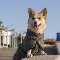 Куртка для собак BlackDoggy (БлекДоггі) VC19-JK008